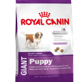 Royal Canin GIANT Puppy